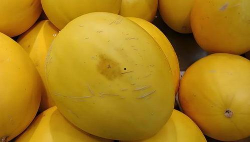 吃的黄色瓜,探寻黄色瓜果的独特魅力