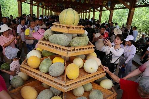 哈密去哪吃瓜,探寻新疆哈密的美食天堂