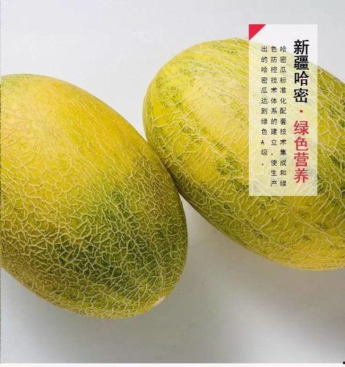 哈密去哪吃瓜,探寻新疆哈密的美食天堂