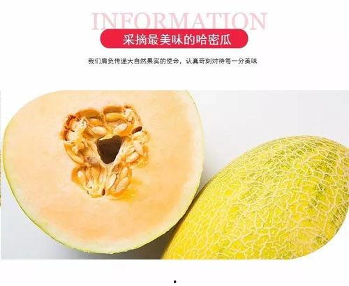 哈密去哪吃瓜,探寻新疆哈密的美食天堂