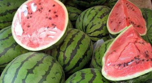 西宁阿爸吃瓜原视频,一场接地气的乡村美食盛宴