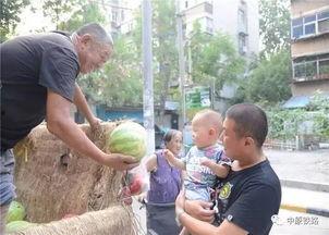 小区吃瓜群众收获,揭秘邻里趣事，共享生活点滴