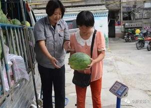 小区吃瓜群众收获,揭秘邻里趣事，共享生活点滴