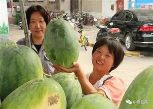 小区吃瓜群众收获,揭秘邻里趣事，共享生活点滴