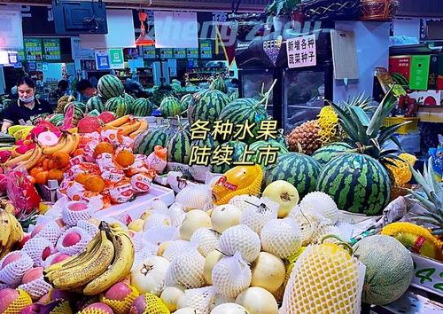 郑州财经吃瓜视频