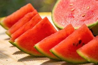 郑州财经吃瓜视频