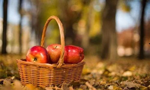 农村婆婆吃苹果瓜,田园生活的甜蜜滋味