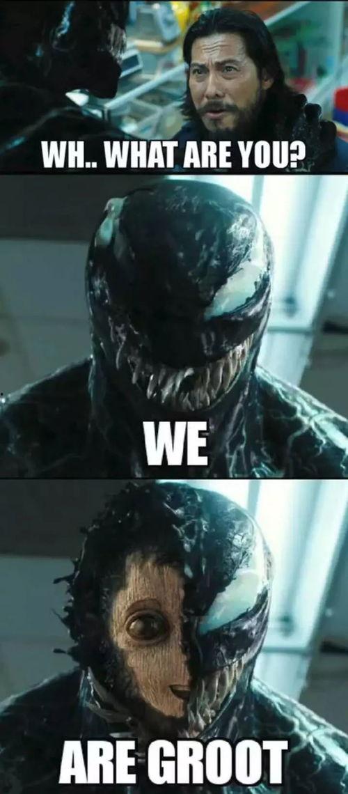 毒液吃瓜,揭秘娱乐圈背后的秘密与真相