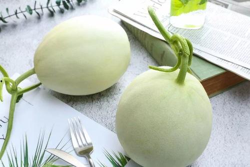 魔子吃瓜,揭秘娱乐圈背后的秘密与八卦