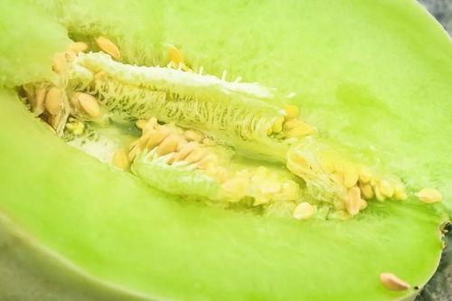 魔子吃瓜,揭秘娱乐圈背后的秘密与八卦