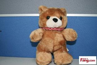 搞笑小熊吃瓜图片