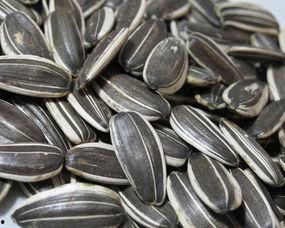 不吃瓜只吃瓜子,品味生活，远离喧嚣