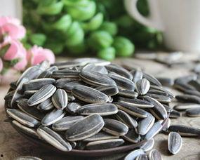 不吃瓜只吃瓜子,品味生活，远离喧嚣