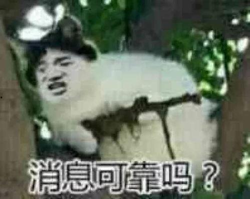 朝堂吃瓜偷听心声,吃瓜群众偷听心声，揭秘宫廷秘闻