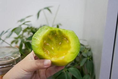 夏日吃瓜秘籍,揭秘夏日吃瓜秘籍