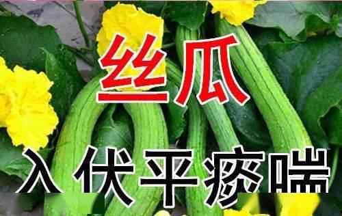 入伏吃三肉吃三瓜,必尝三肉三瓜，健康度夏攻略