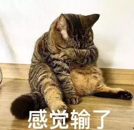 吃瓜看抱拳,揭秘网络热词背后的文化现象