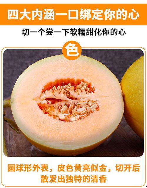 陕西黄河蜜瓜怎么吃,多汁甘甜，美味吃法大揭秘