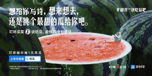 姐妹们吃瓜文案,娱乐圈最新吃瓜大揭秘！