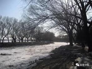 重庆吃瓜死亡事件,悲剧背后的食品安全警示