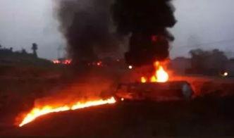 重庆吃瓜死亡事件,悲剧背后的食品安全警示