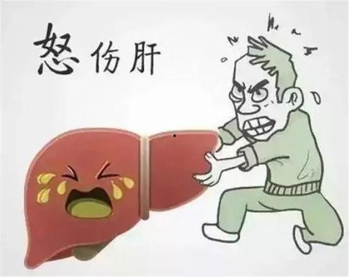 吃瓜加生气文案,揭秘娱乐圈惊天大瓜！