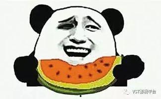 吃瓜群众瓜很甜,揭秘吃瓜群众的甜蜜生活