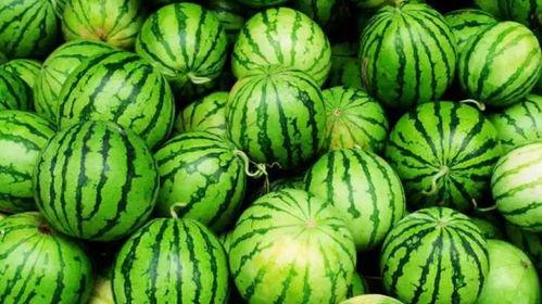 网爆吃瓜,揭秘娱乐圈最新热点事件