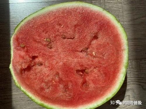 科普up吃瓜,揭秘科普UP主背后的“吃瓜”世界