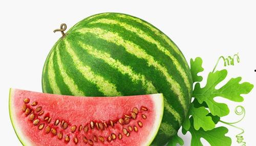 吃瓜的人文案彩虹