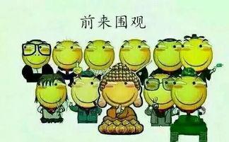 吃瓜群众嵊州,吃瓜群众眼中的美食天堂