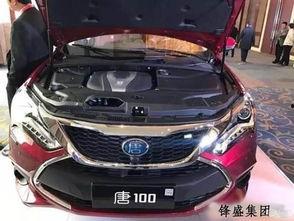 比亚迪唐吃瓜图片