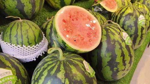 每日还得吃瓜,紧跟热点，轻松掌握社会动态