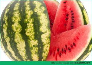 每日还得吃瓜,紧跟热点，轻松掌握社会动态