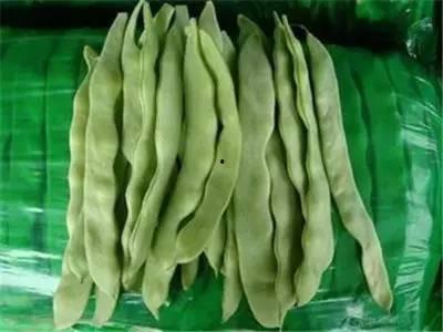 细胞里的吃瓜,揭秘生命活动的奇妙奥秘