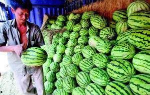 陕西业务中心吃瓜,揭秘吃瓜背后的职场风云