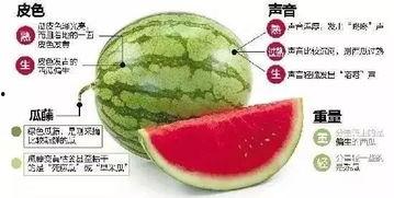 微信吃瓜后续,揭秘事件真相，网友热议不断