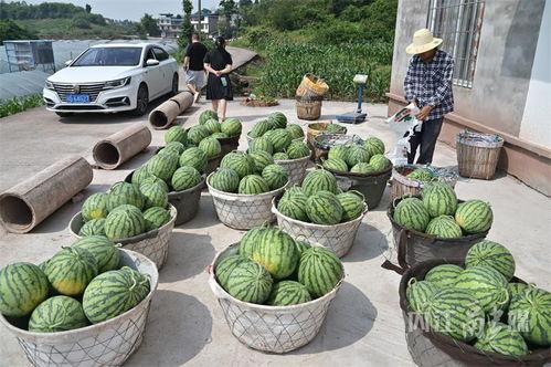 北邵吃瓜,揭秘娱乐圈背后的那些事儿