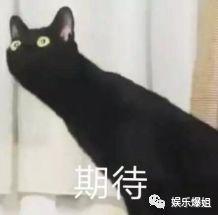 吃瓜神剧,揭秘娱乐圈背后的秘密与真相