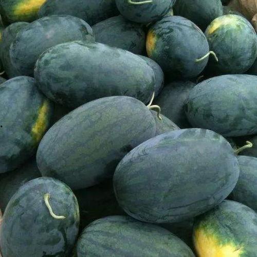 现在吃瓜在哪吃,揭秘“现在吃瓜在哪吃”的网红聚集地