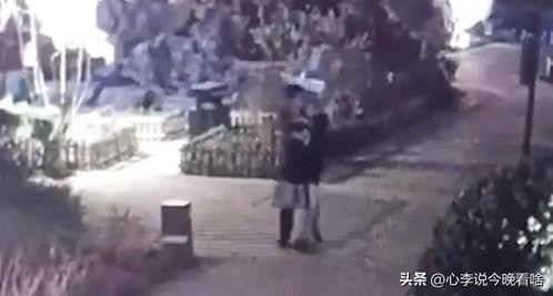 赵县吃瓜事件视频,一场网络热议的乡村奇观揭秘