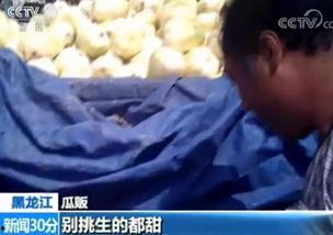 赵县吃瓜事件视频,一场网络热议的乡村奇观揭秘