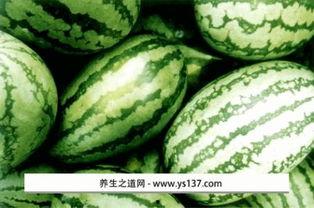 尉犁县吃瓜