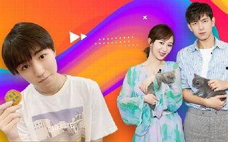 杨紫吃瓜名场面,娱乐圈“瓜王”诞生记