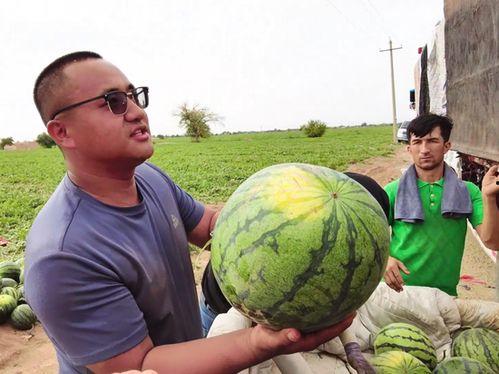 刘浩吃瓜,揭秘娱乐圈幕后真相