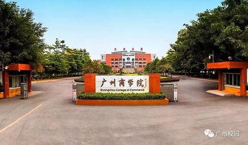 广州商学院吃瓜,校园吃瓜风云录
