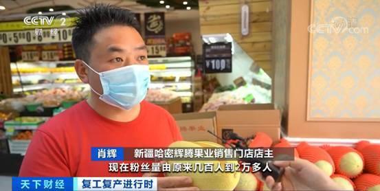 吃瓜粉购物直播,吃瓜粉的购物狂欢盛宴