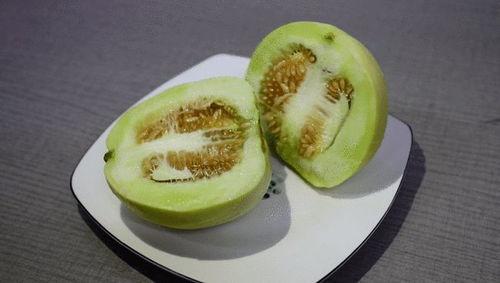 夏天田园吃瓜