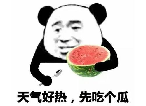 吃瓜尖叫表情包,吃瓜尖叫表情包带你领略网络狂欢盛宴
